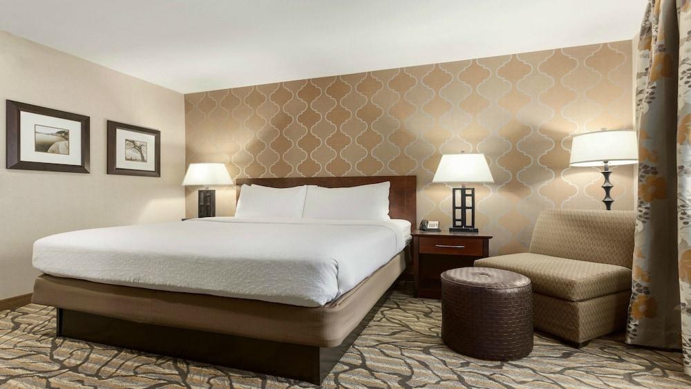 HOLIDAY INN HOTEL & SUITES WILLIAMSBURG-HISTORIC GATEWAY photo 4