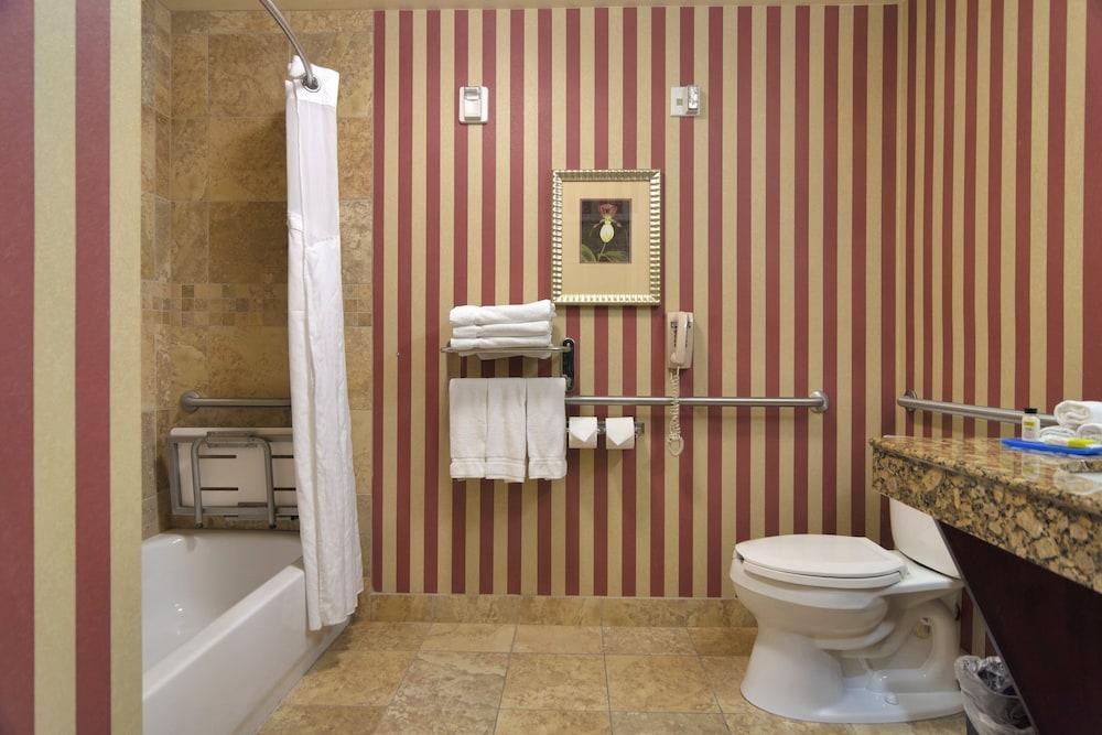 HOLIDAY INN EXPRESS HOTEL & SUITES DFW WEST - HURST photo 2