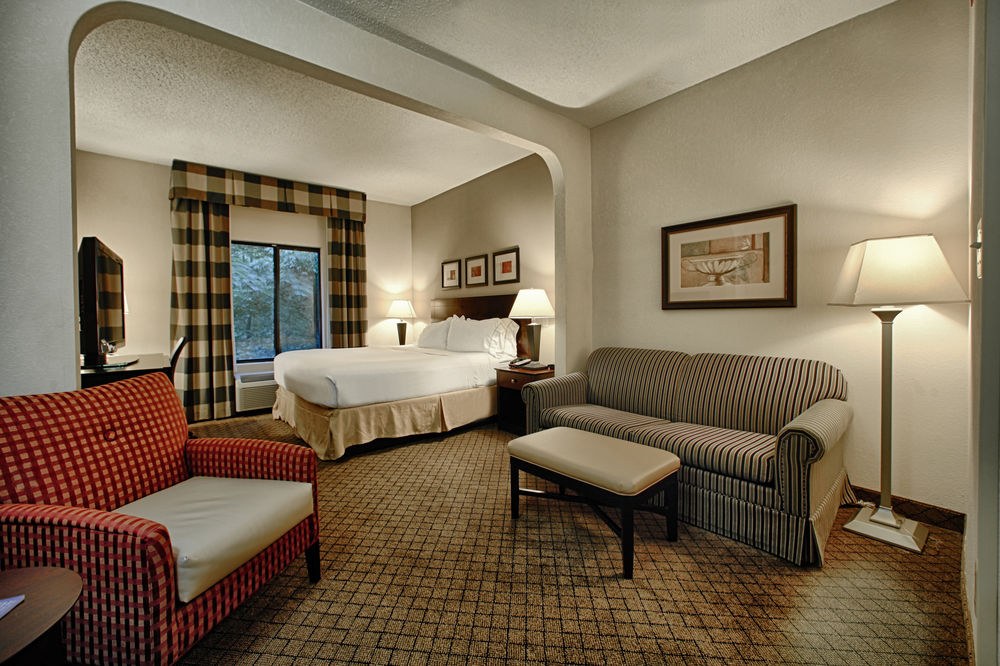 HOLIDAY INN EXPRESS & SUITES ATLANTA-EMORY UNIVERSITY AREA photo 1