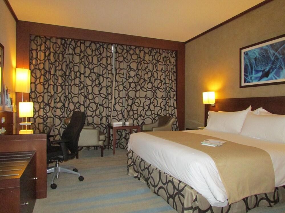 HOLIDAY INN RIYADH - IZDIHAR photo 3