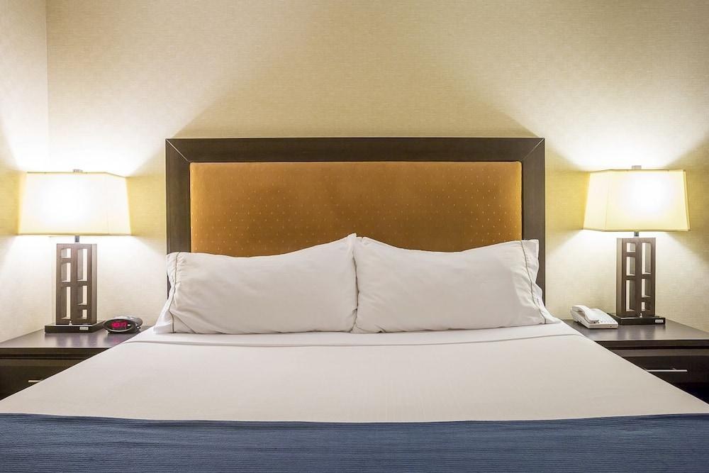 HOLIDAY INN EXPRESS HOTEL & SUITES RIVERPORT RICHMOND photo 2