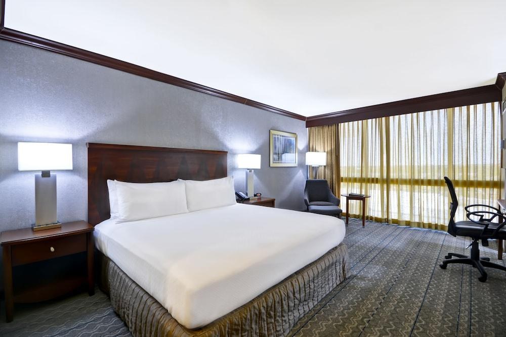 CROWNE PLAZA SOUTHERN HILLS photo 4