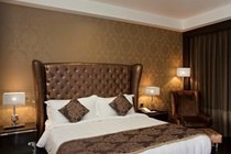 RADISSON BLU PASCHIM VIHAR photo 3