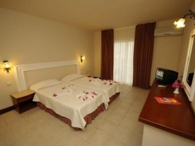 PALMERA photo 4