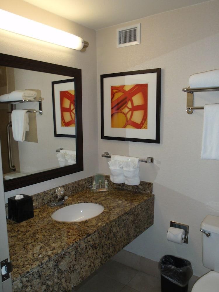 HOLIDAY INN AUSTIN MIDTOWN photo 2