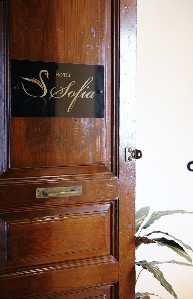 SOFIA photo 1