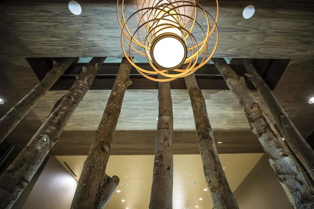 Homewood Suites by Hilton Charlotte Ballantyne, NC photo 1