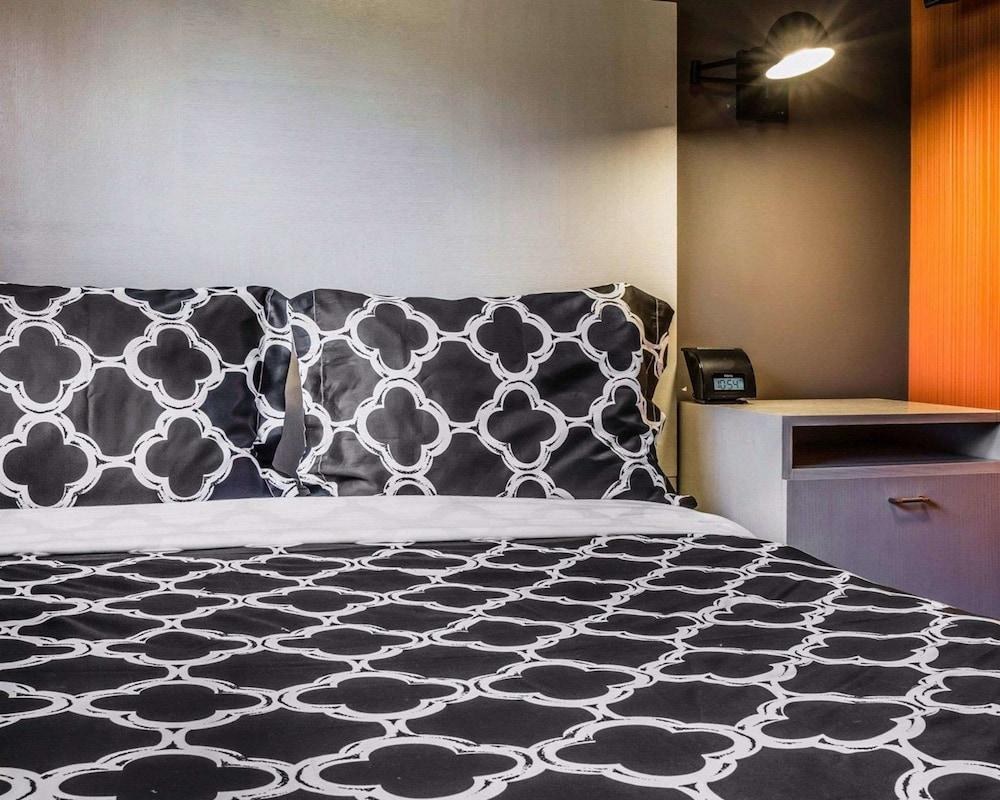 UNION HOTEL, AN ASCEND HOTEL COLLECTION MEMBER photo 3