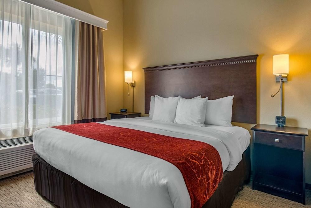 COMFORT SUITES SARASOTA photo 3