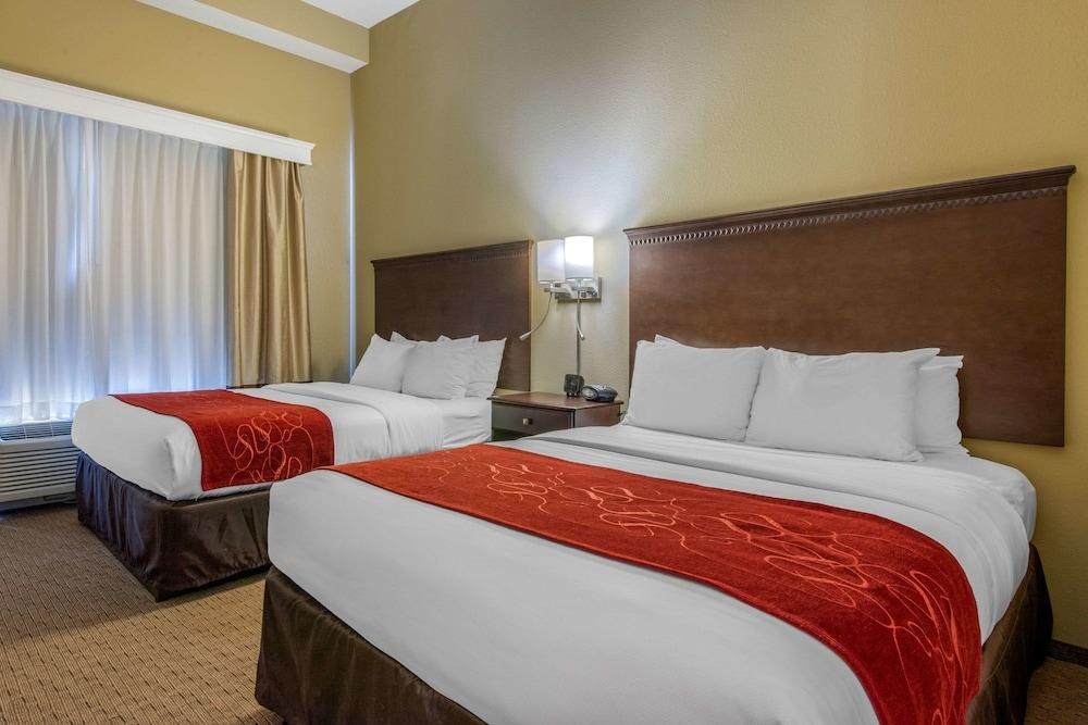 COMFORT SUITES SARASOTA photo 4