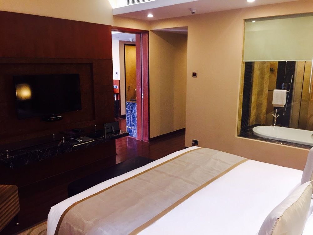 RADISSON BLU PLAZA DELHI AIRPORT photo 1