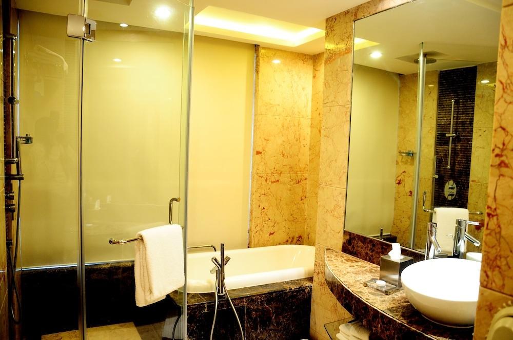 RADISSON BLU PLAZA DELHI AIRPORT photo 3