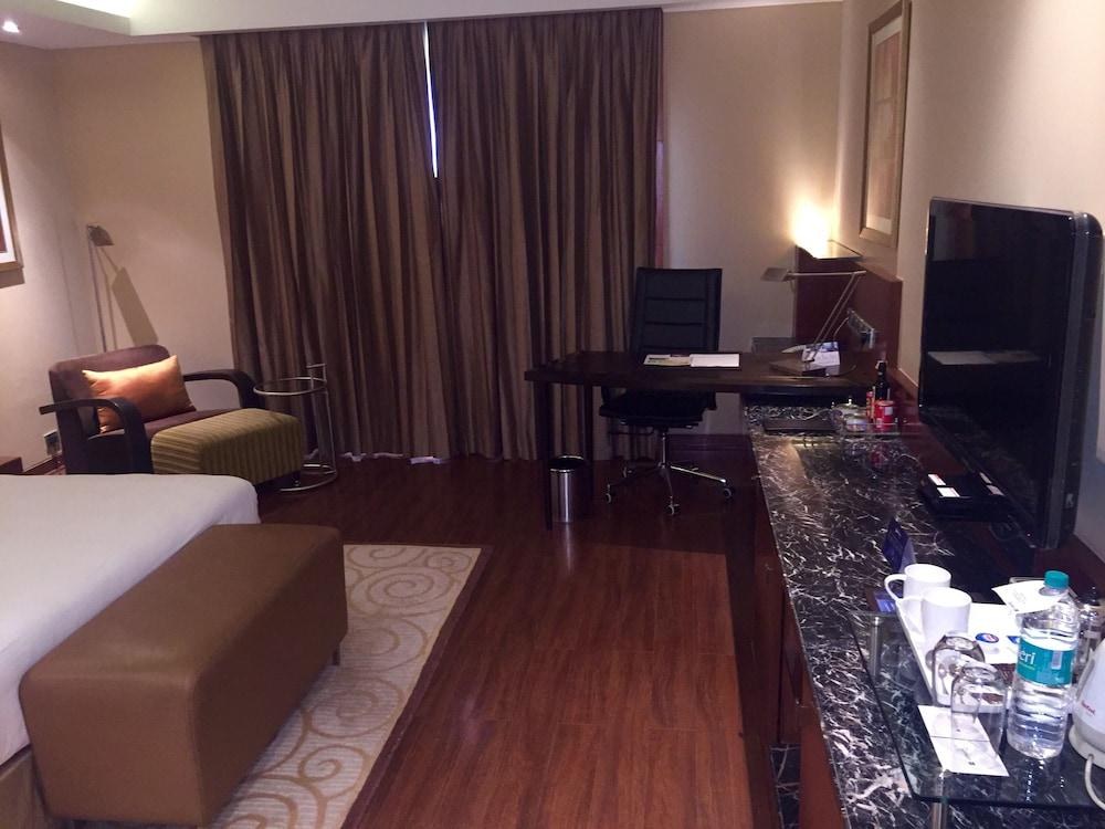 RADISSON BLU PLAZA DELHI AIRPORT photo 4