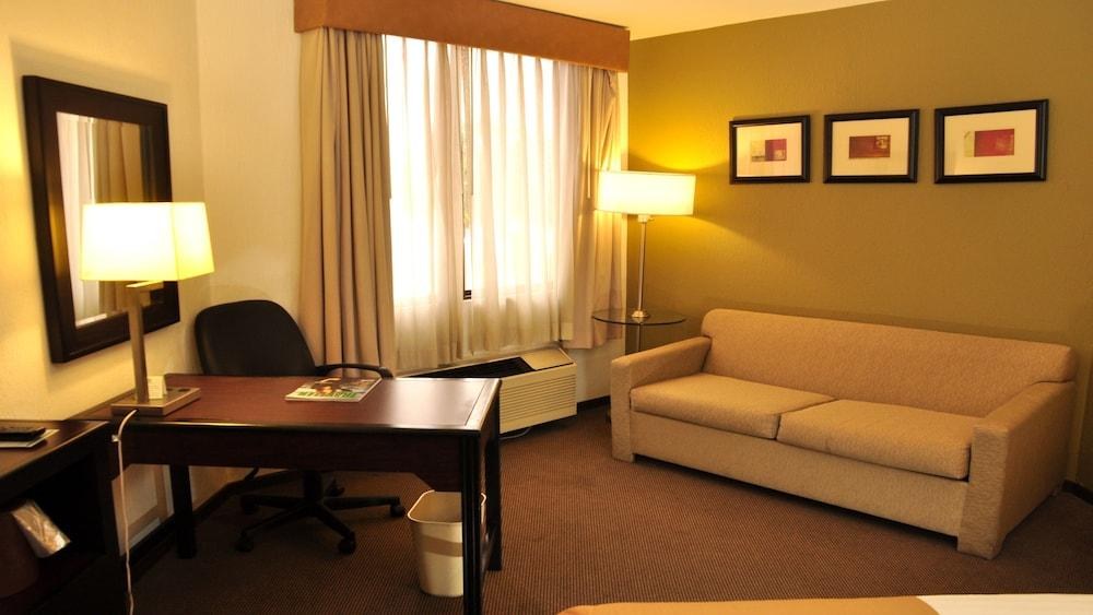 HOLIDAY INN TIJUANA ZONA RIO