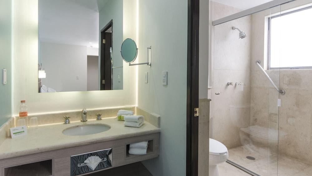 HOLIDAY INN & SUITES MEXICO ZONA ROSA photo 4