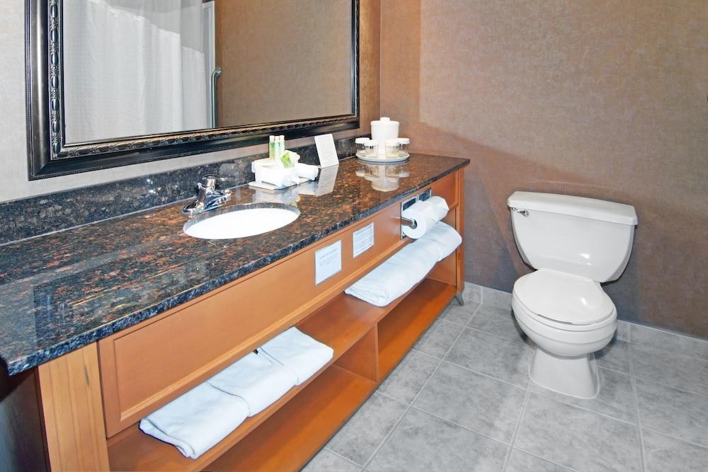 HOLIDAY INN EXPRESS & SUITES SOUTH MACLEOD TRAIL S photo 4