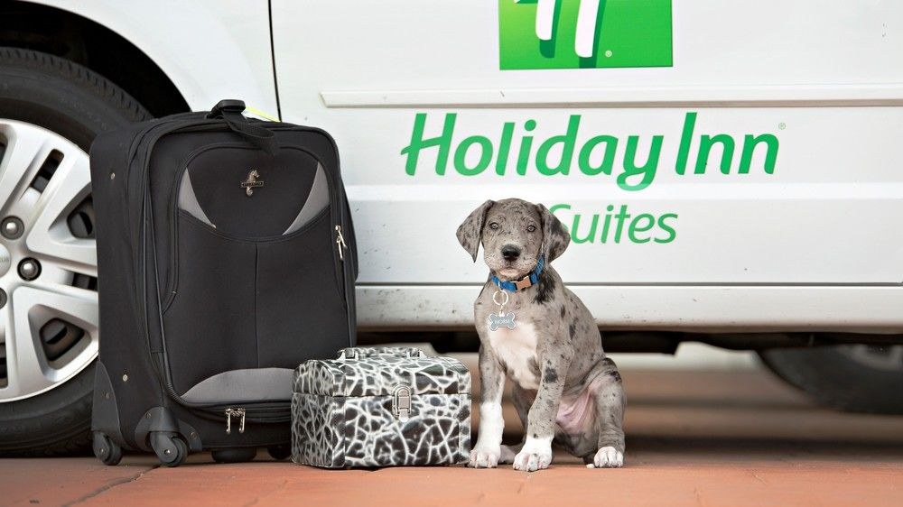 HOLIDAY INN & SUITES BLOOMINGTON-AIRPORT