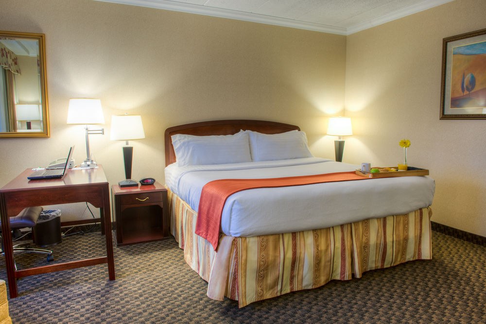 HOLIDAY INN DOWNTOWN photo 2