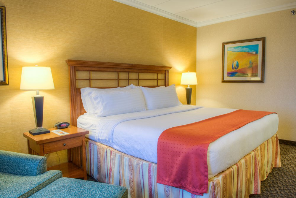 HOLIDAY INN DOWNTOWN photo 4