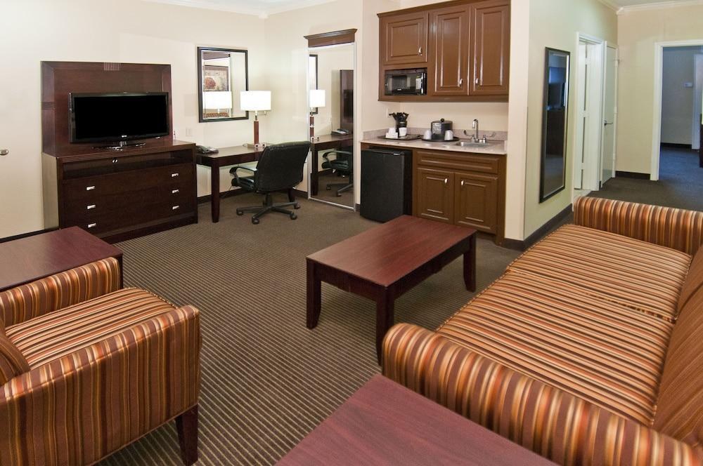 HOLIDAY INN HOTEL & SUITES LAKE CHARLES SOUTH photo 2