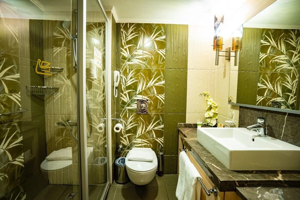 AMBASSADOR PLAZA HOTEL photo 2