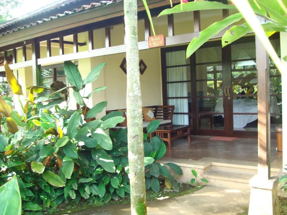 ANINI RAKA RESORT AND SPA photo 4