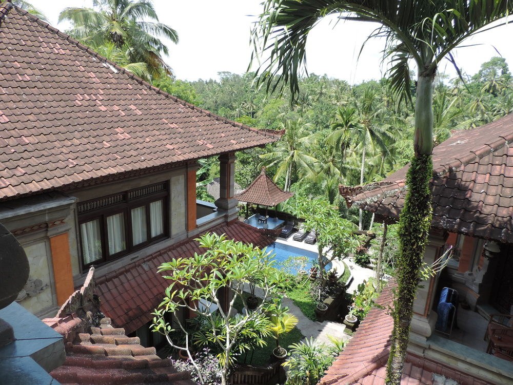 Nick's Hidden Cottage photo 1