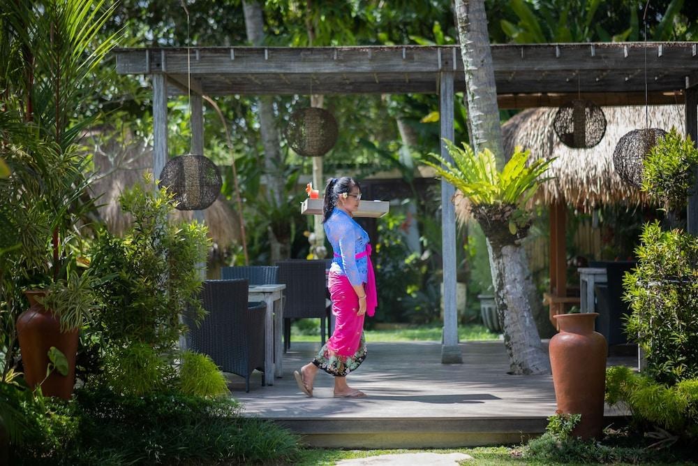 UBUD PADI VILLAS photo 4