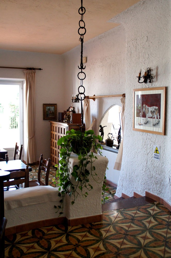 DON PEDRO photo 1