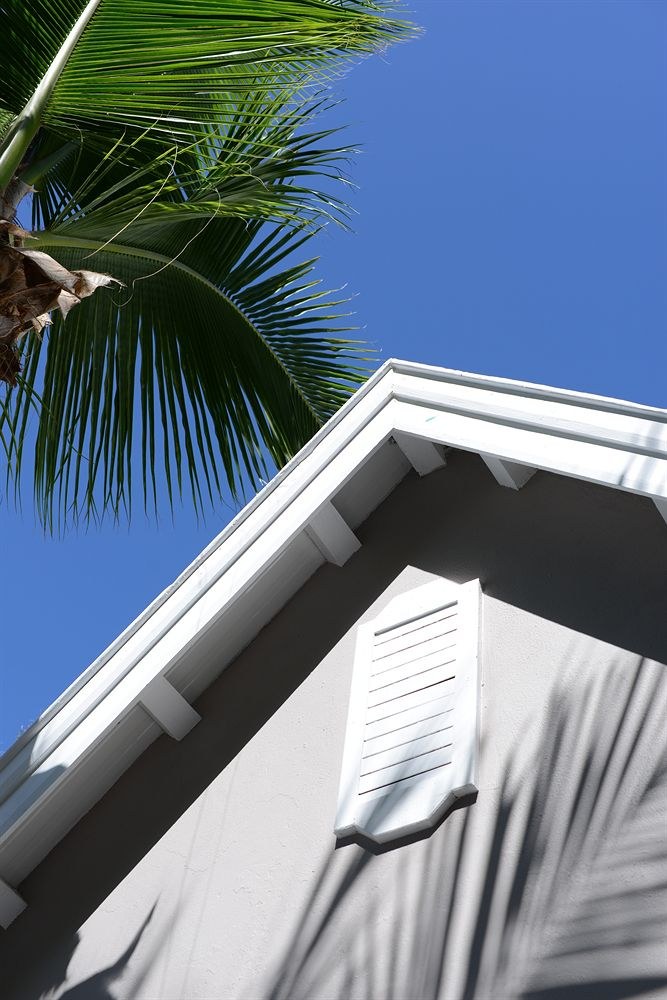 TROPICAL ATTITUDE photo 1