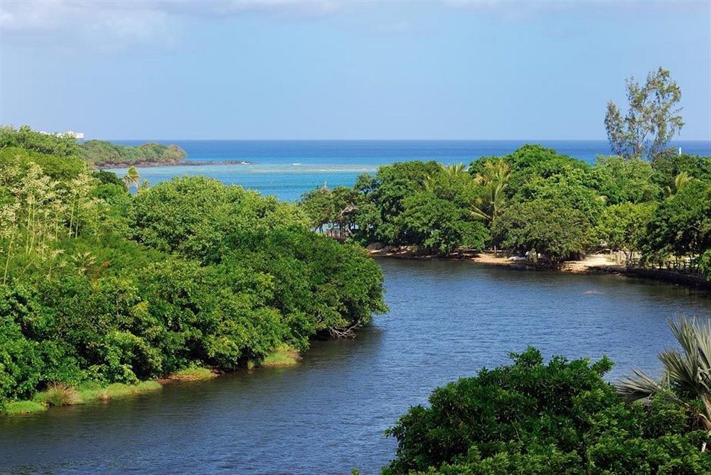 LA PLANTATION