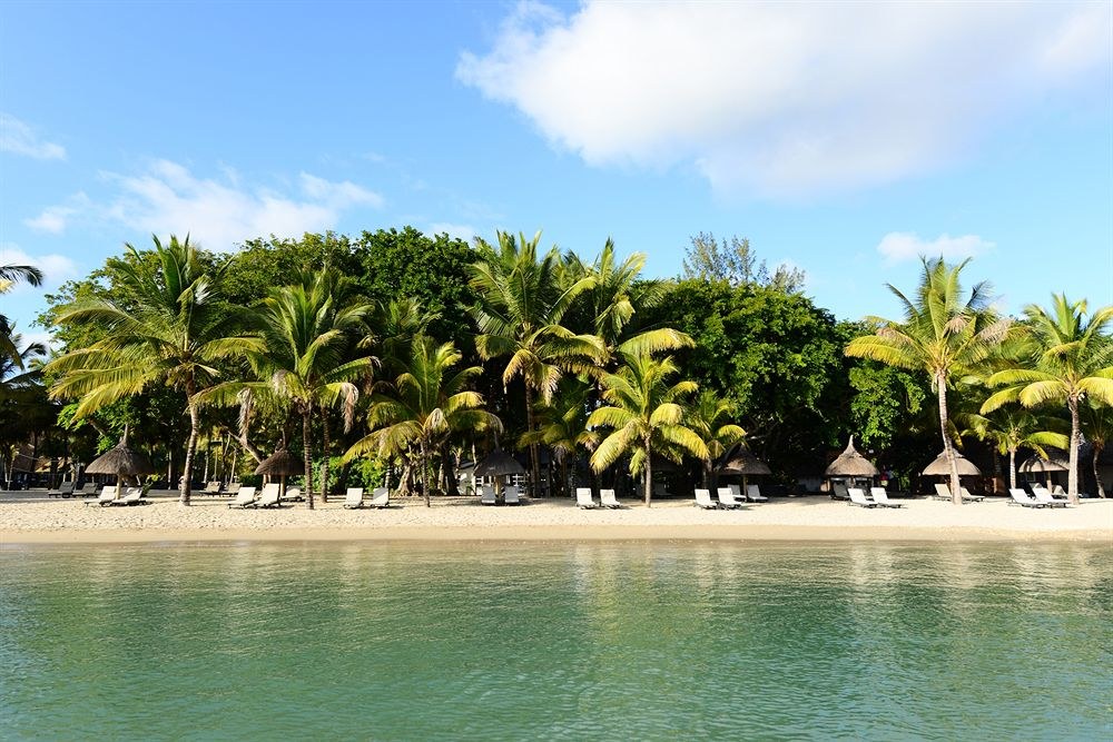 LA PLANTATION photo 1