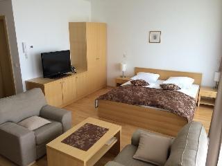 GOZDNA VILLA MARI photo 2