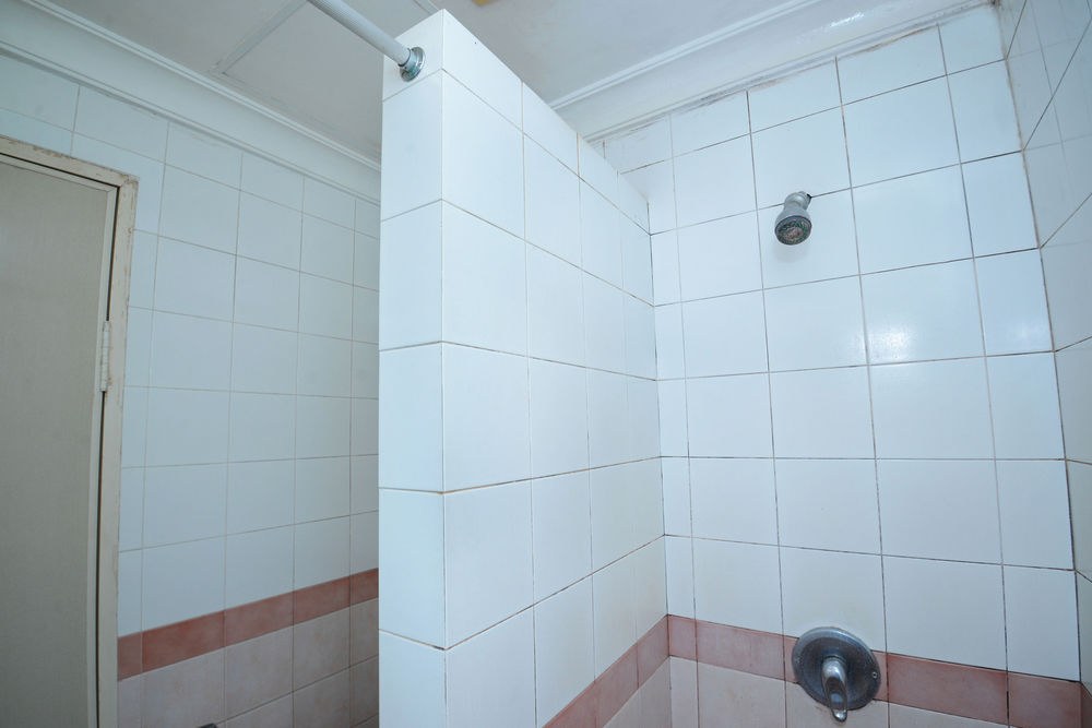 Nalendra Hotel photo 2