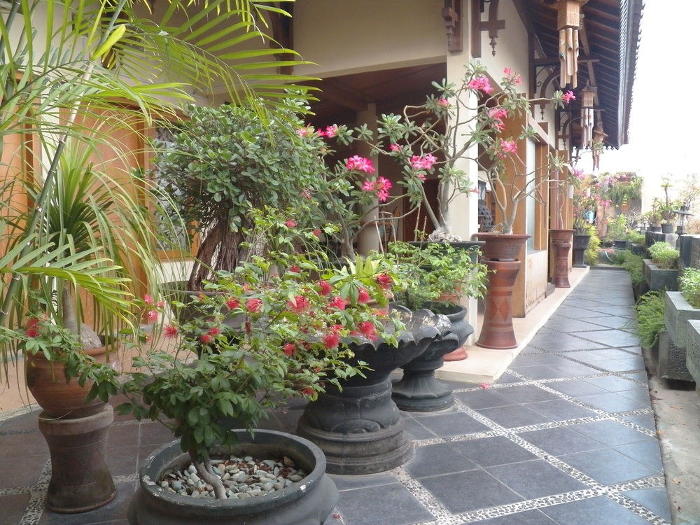 ADYA NALENDRA BOUTIQUE