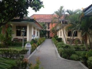 BRONGTO photo 4