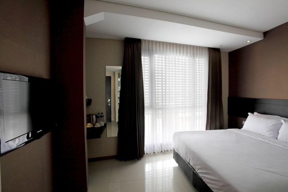 VIO PASTEUR photo 3