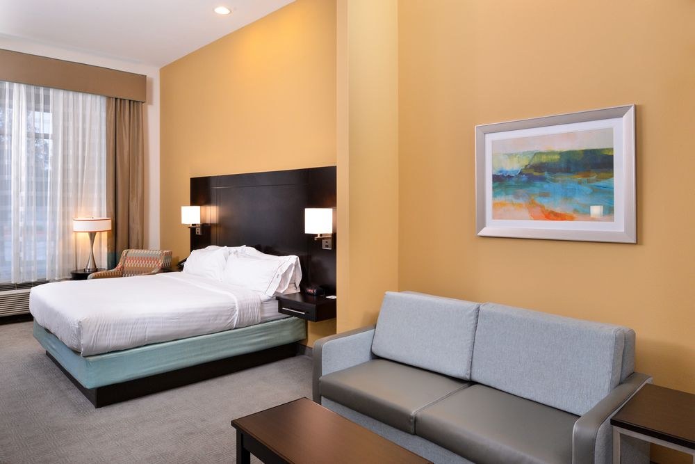 HOLIDAY INN EXPRESS & SUITES AUSTIN SOUTH