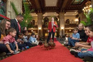 THE PEABODY MEMPHIS photo 1