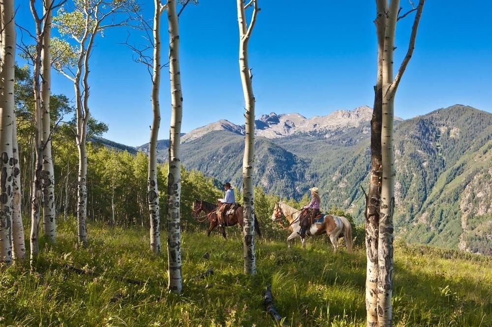 THE PINES LODGE AT BEAVER CREEK photo 1