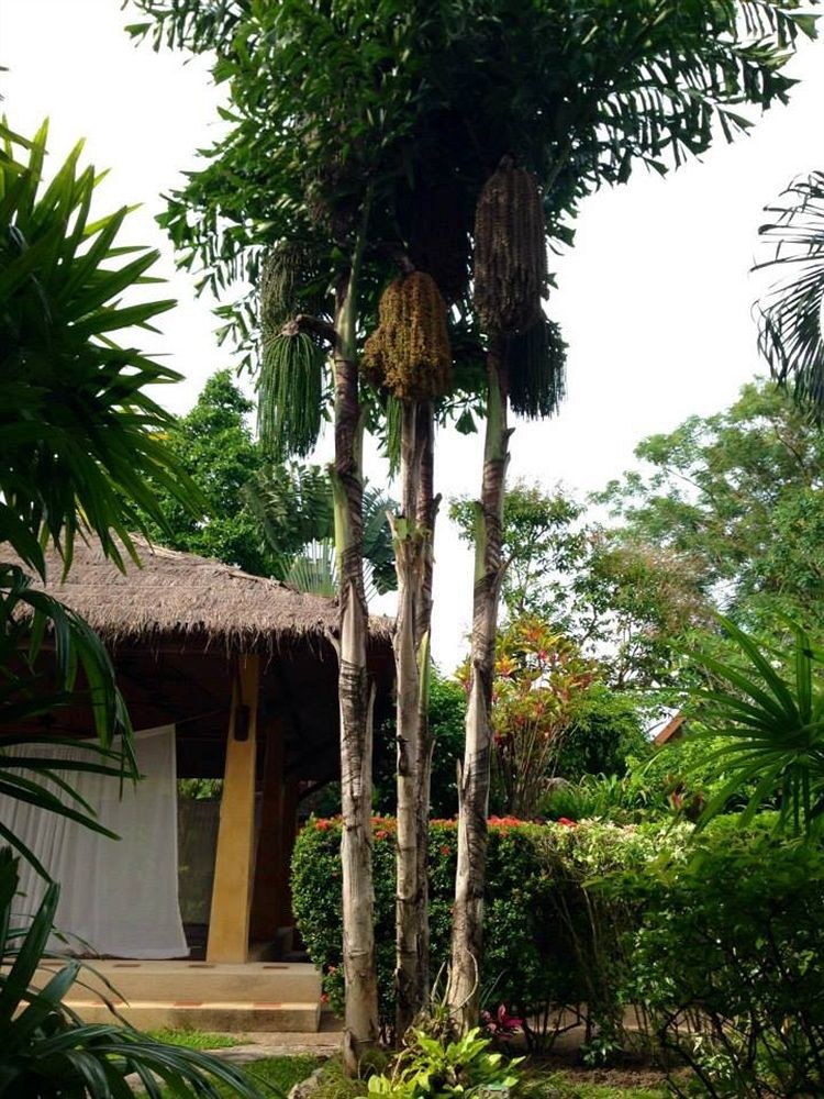 PALM GARDEN RESORT PHUKET photo 1