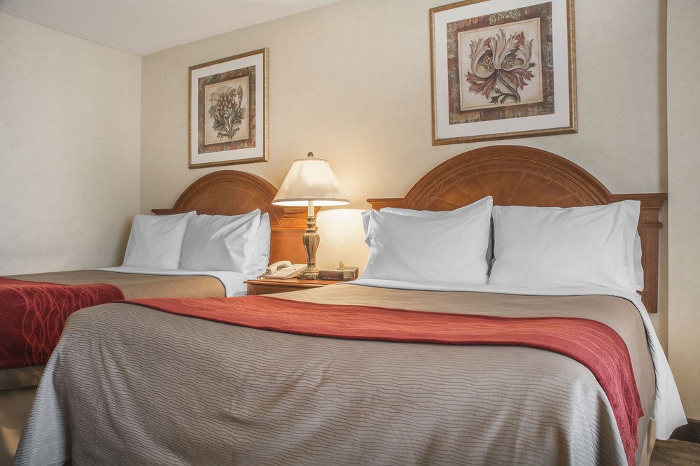 COMFORT INN FALLSVIEW photo 1