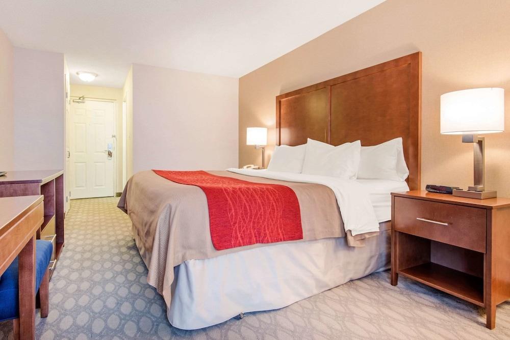 COMFORT INN FALLSVIEW photo 3