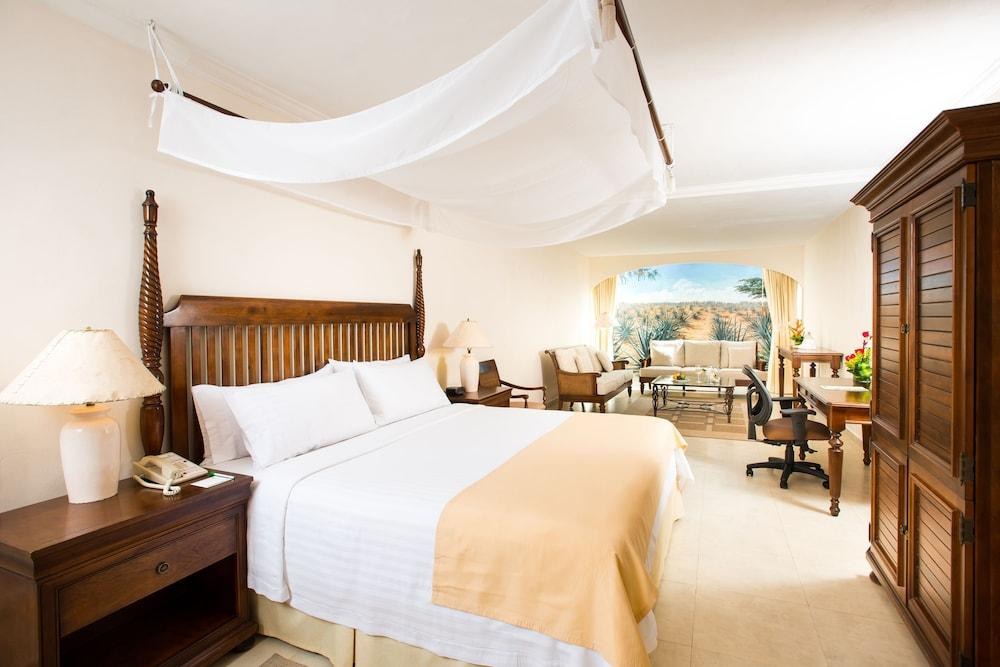 HOLIDAY INN MERIDA photo 2