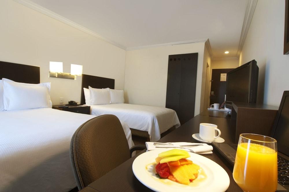 FIESTA INN TOLUCA CENTRO photo 3