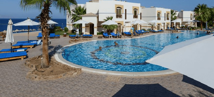 Amphoras Blu photo 4
