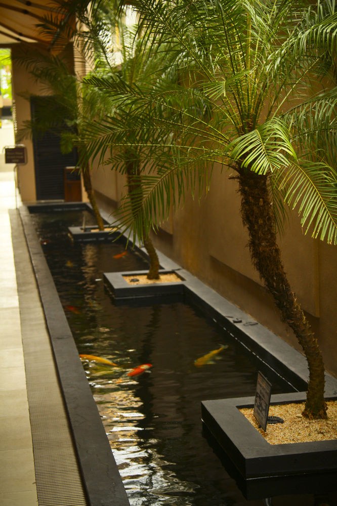 Two Seasons Boracay Resort photo 1