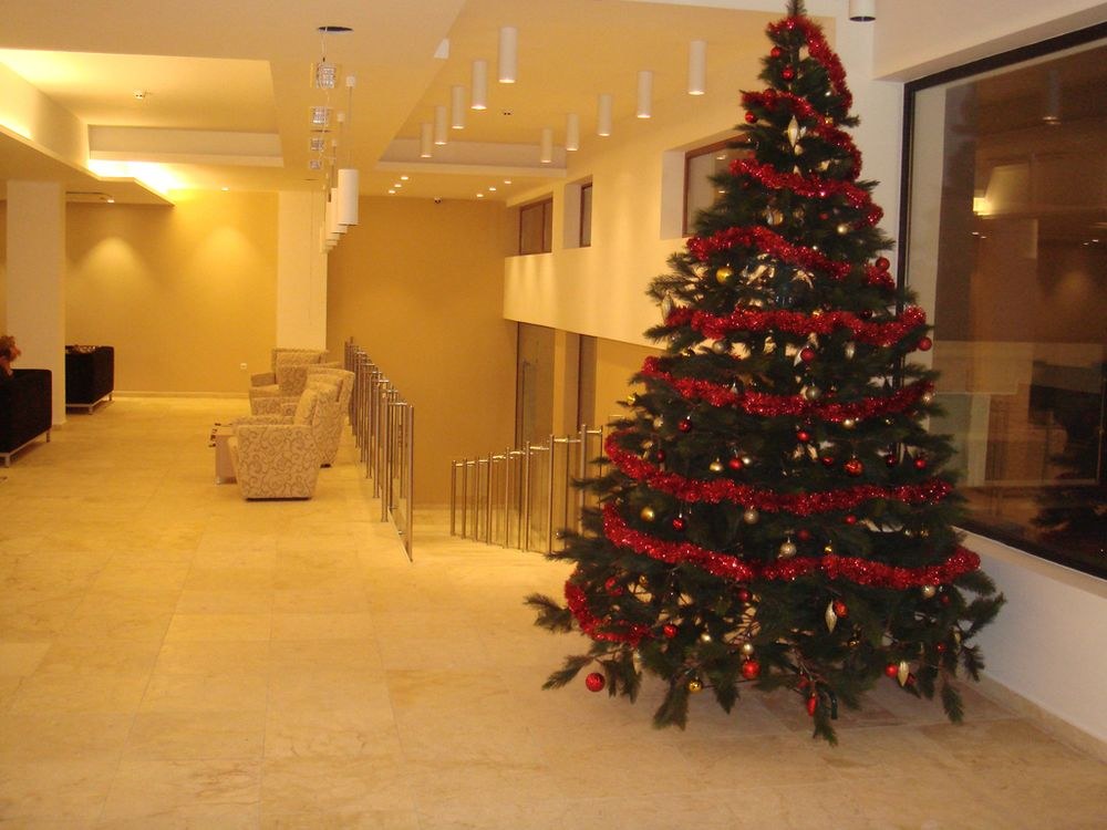 HOTEL RADINA'S WAY photo 4
