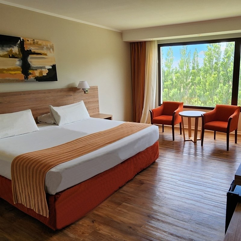 XELENA HOTEL AND SUITES photo 4