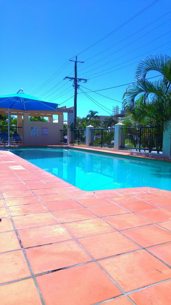Chevron Palms